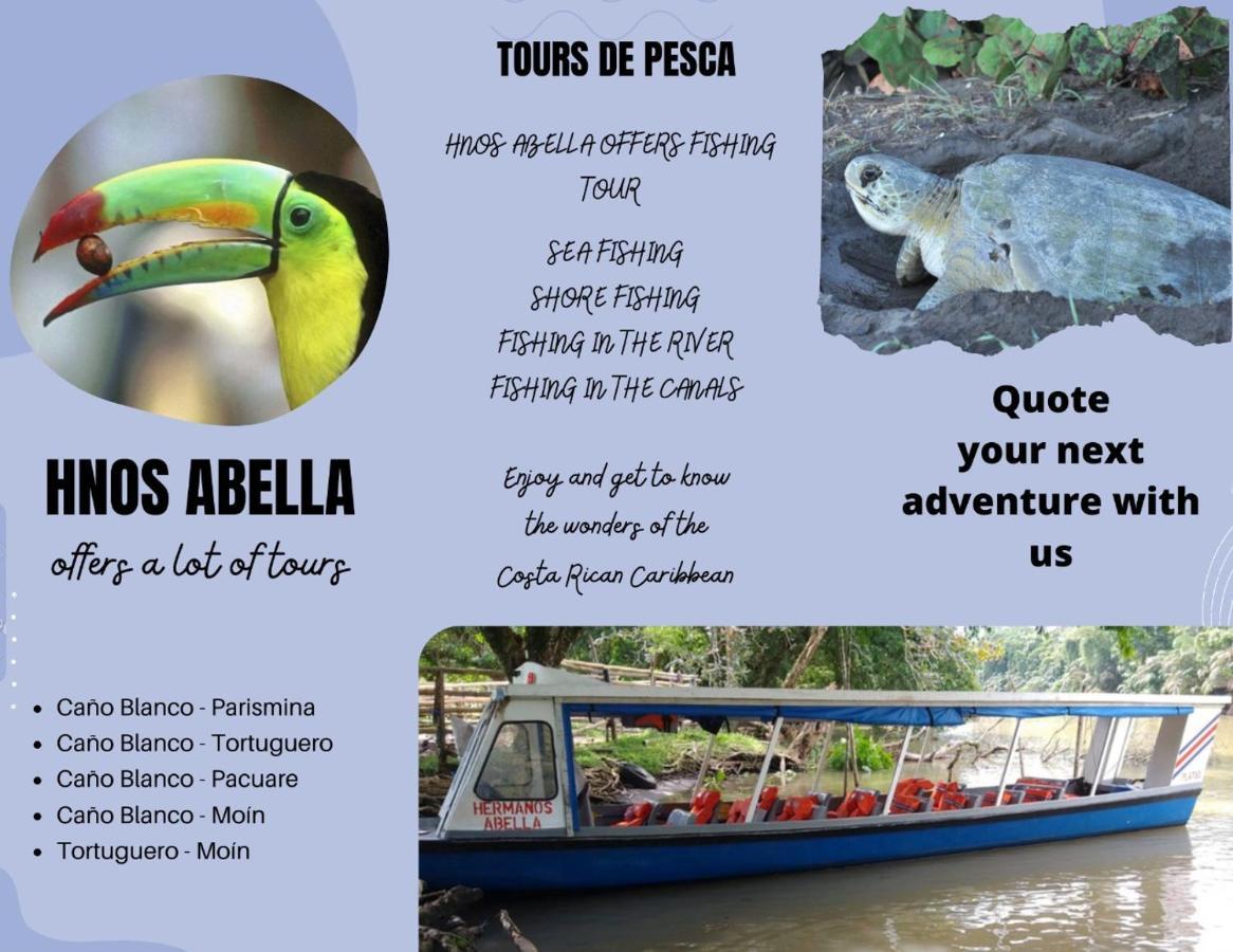 Sleep&Go! Cabina Cuadruple En Siquirres Centro - And Rafting Tour! Siqurres Da Alegria Εξωτερικό φωτογραφία